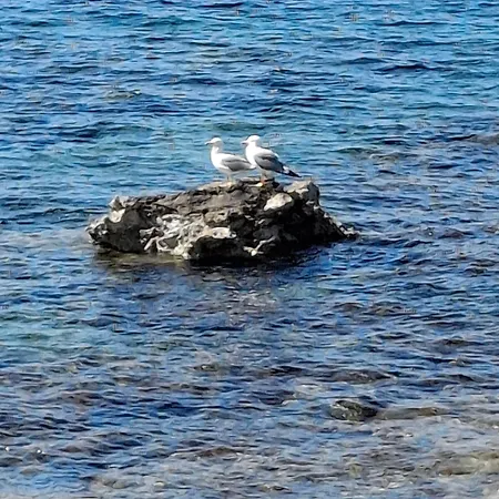 בית נופש Paradise For Couples, Next To Soothing Waves